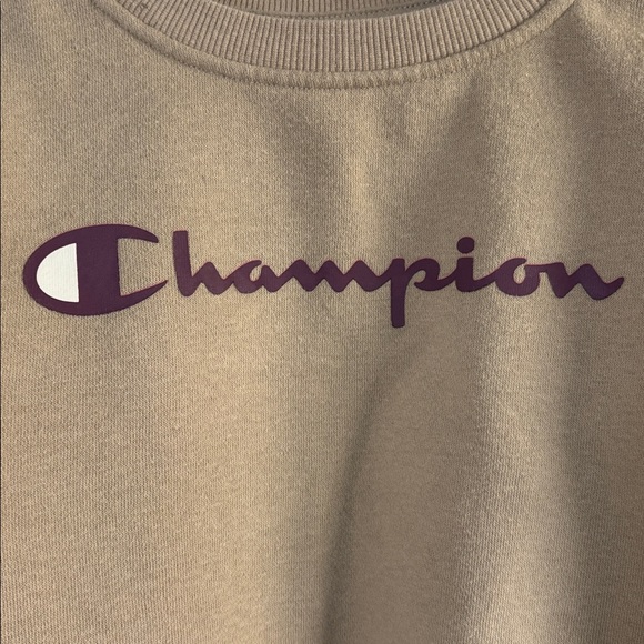 Champion 4T toddler Brown Crewneck Sweatshirt - Picture 2 of 8